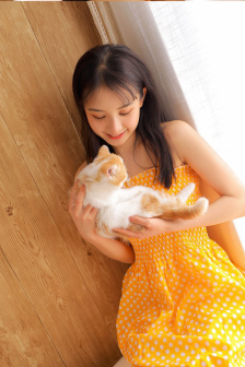 乌龙大状师